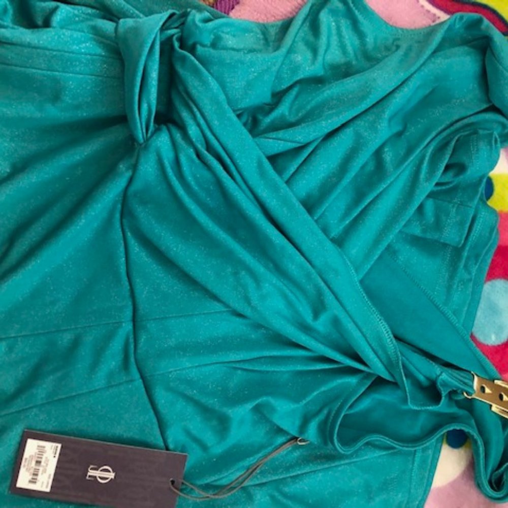 Gorgeous blue dress, nwt